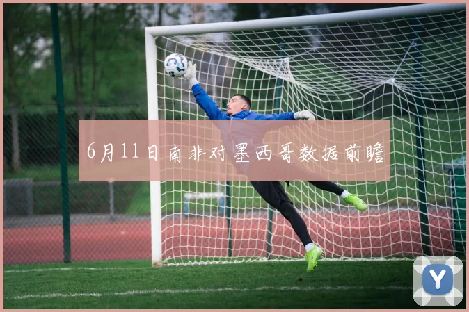 6月11日南非对墨西哥数据前瞻