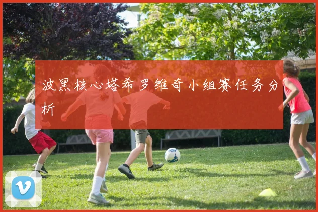 波黑核心塔希罗维奇小组赛任务分析