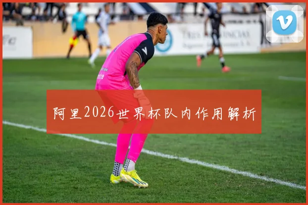 阿里2026世界杯队内作用解析