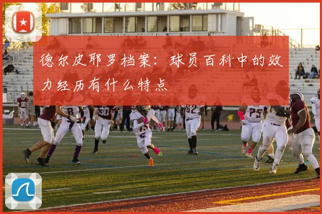 德尔皮耶罗档案：球员百科中的效力经历有什么特点