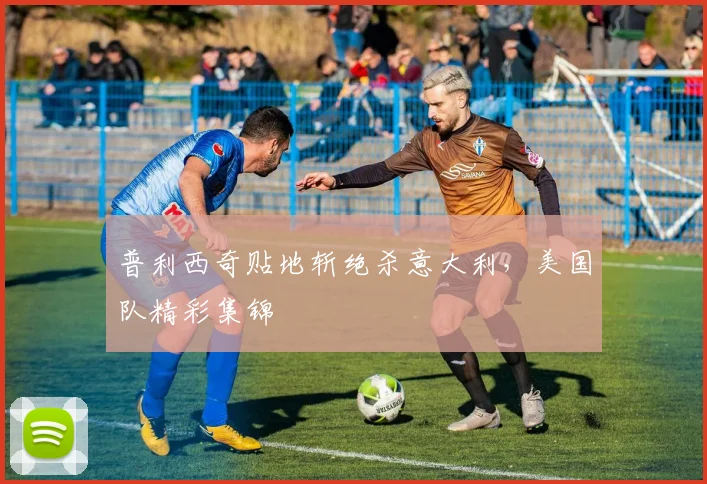 普利西奇贴地斩绝杀意大利，美国队精彩集锦