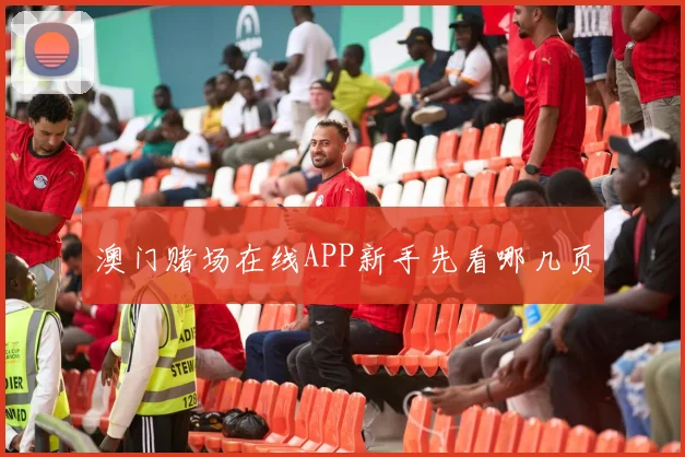 澳门赌场在线APP新手先看哪几页