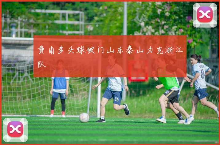 费南多头球破门山东泰山力克浙江队