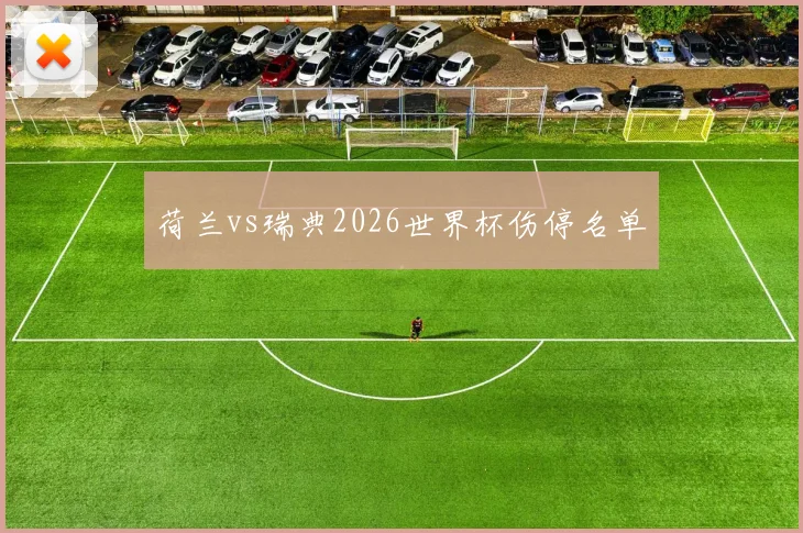荷兰vs瑞典2026世界杯伤停名单