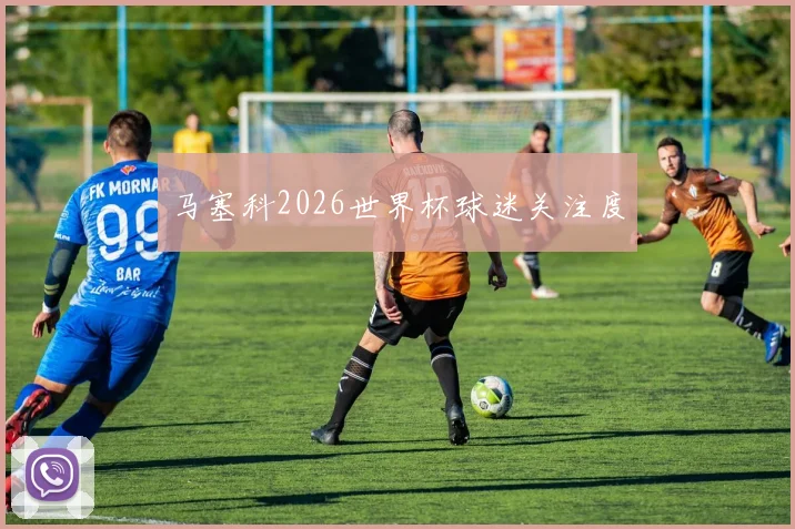 马塞科2026世界杯球迷关注度