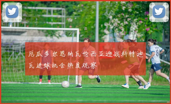 厄瓜多尔恩纳瓦伦西亚迎战科特迪瓦进球机会热度观察