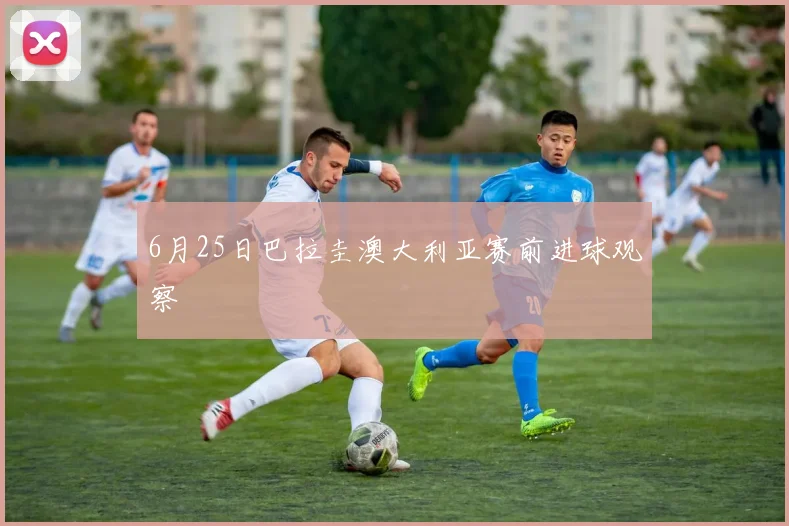 6月25日巴拉圭澳大利亚赛前进球观察