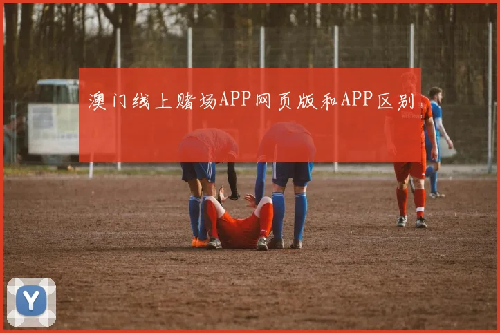澳门线上赌场APP网页版和APP区别